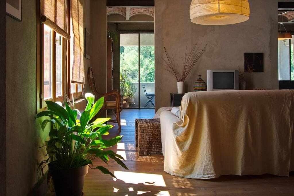 Sleep & Stay Artistico Loft Sant Daniel Жирона Экстерьер фото